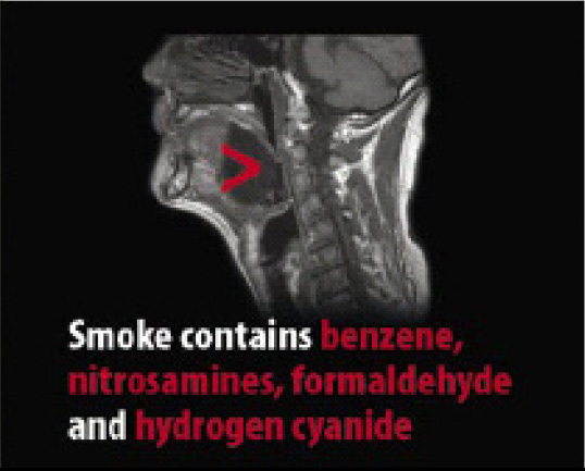 EU 2004 Consituents - internal image, benzene, nitrosamines, formaldehyde, hydrogen cyanide
